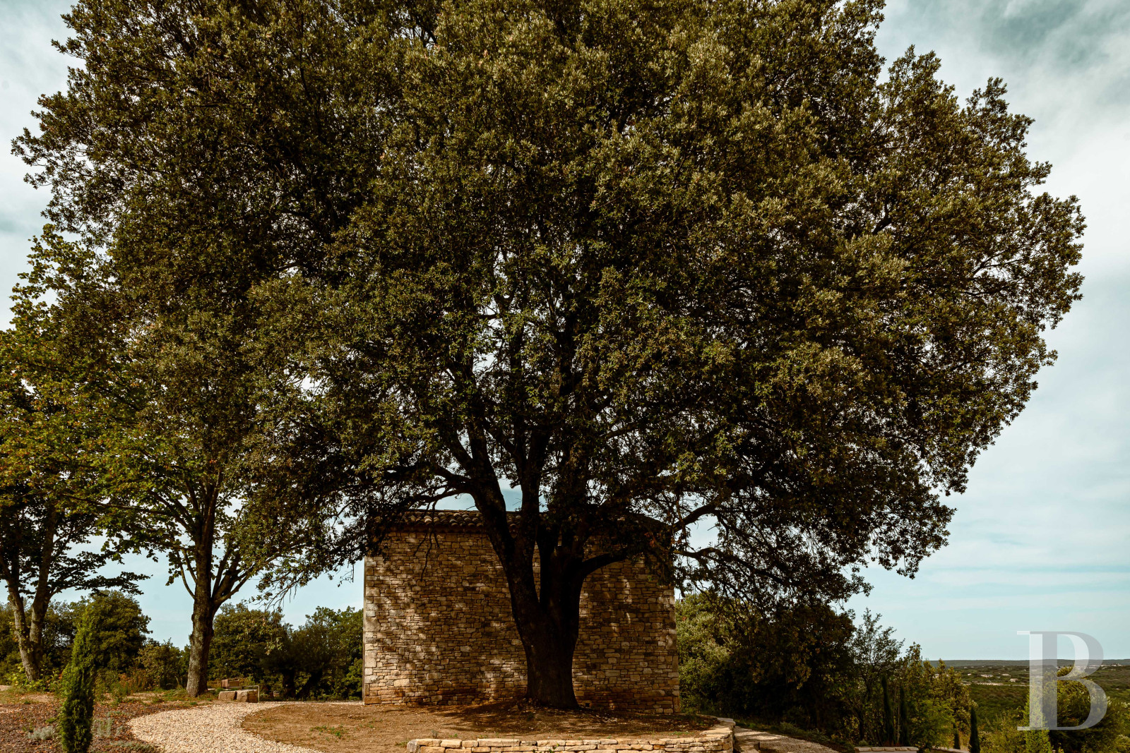 Dans le Gard, en bordure de l’Ardèche, un ancien mas restauré au milieu des oliviers, des vignes et des lavandes - photo  n°5